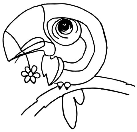 Cartoon Toucan With A Flower In The Beak  Coloring Page